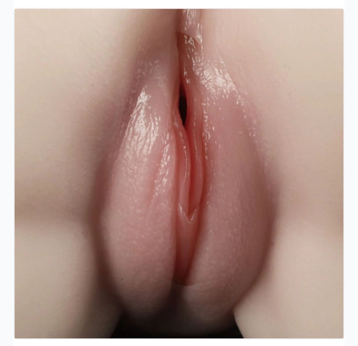 IMG-20241221-WA0008