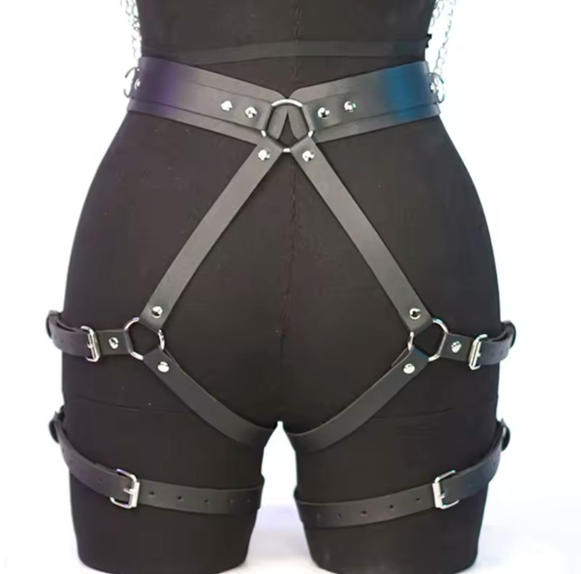 IMG-20241204-WA0001 HARNESS ARREIO VENUS S.I